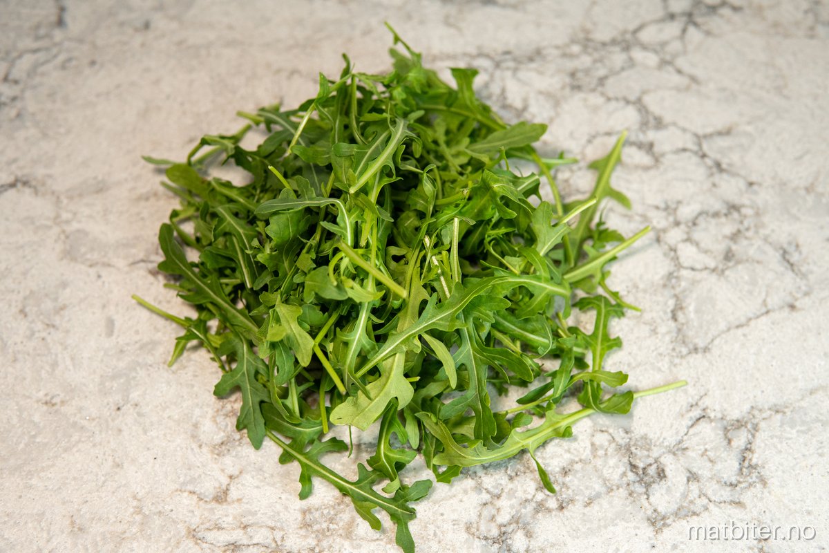 Ruccola