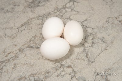 Egg